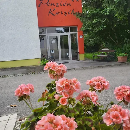 Penzión pre hostí Bonaparte-korzika Thermalpark Inclusiv *