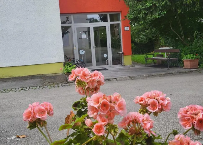 Pensjonat Bonaparte-korzika Thermalpark Inclusiv *